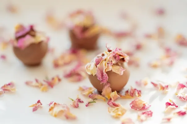 ДжокърБет Казино Android/iOS приложение